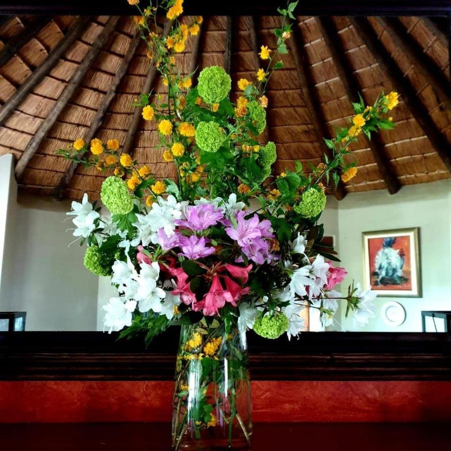 Waterford Manor Bed & Breakfast Rosetta ภายนอก รูปภาพ