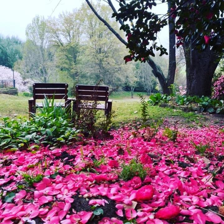 Waterford Manor Bed & Breakfast Rosetta ภายนอก รูปภาพ