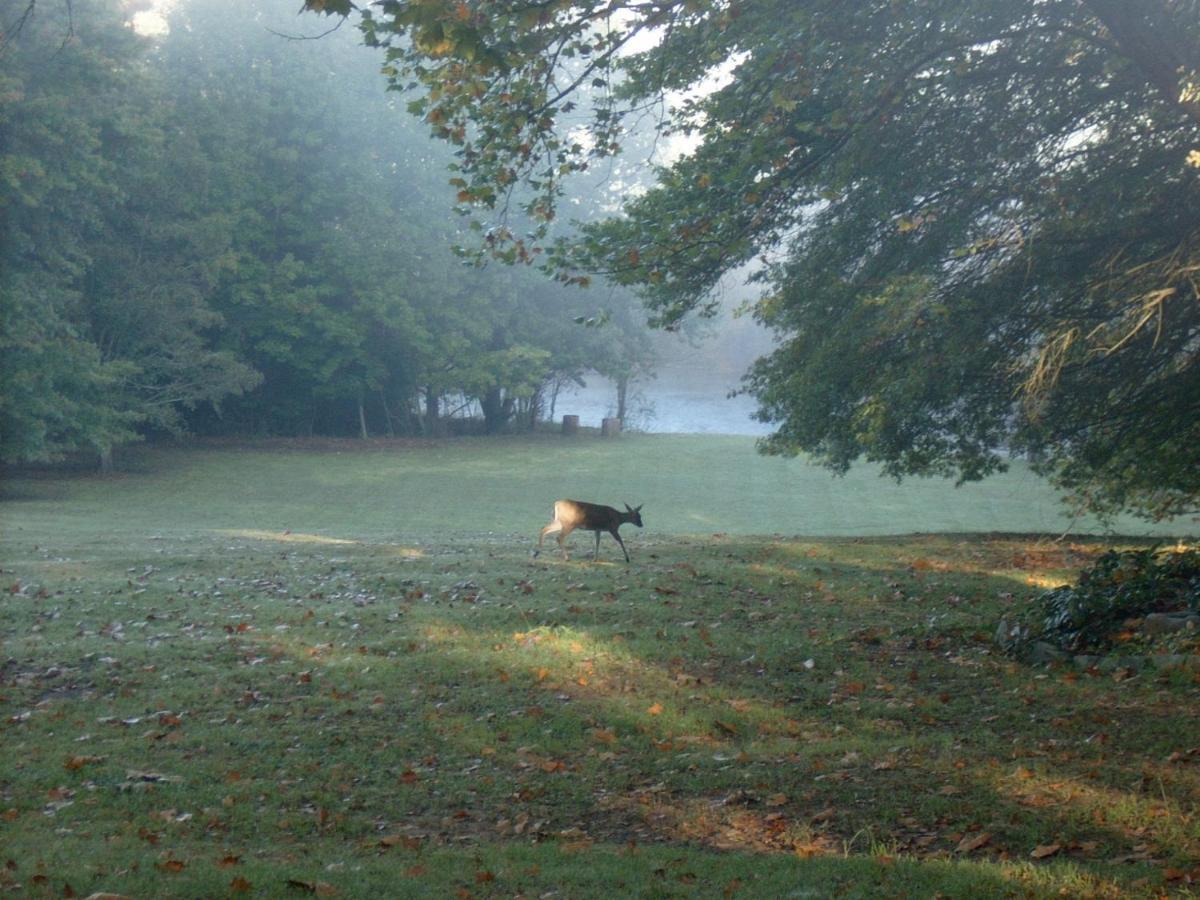 Waterford Manor Bed & Breakfast Rosetta ภายนอก รูปภาพ